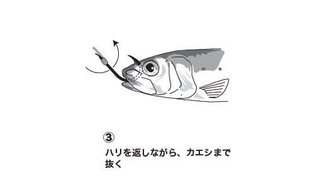 エサの付け方の図