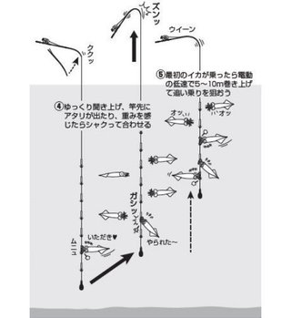 釣行の図