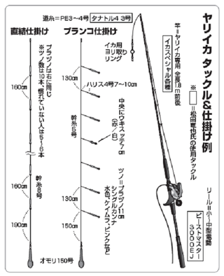 ヤリイカ釣りの決定版！仕掛けのセッティングから取り込みまでの