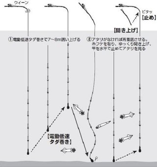 ヤリイカ釣りの決定版！仕掛けのセッティングから取り込みまでのノウハウをエキスパートがイチから伝授！【前編】（しまや丸／南房乙浜港）