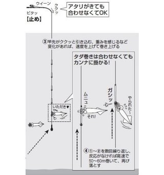 ヤリイカ釣りの決定版！仕掛けのセッティングから取り込みまでのノウハウをエキスパートがイチから伝授！【前編】（しまや丸／南房乙浜港）