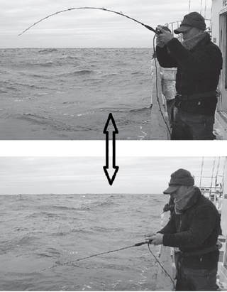 釣行の写真