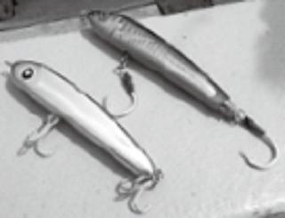 ジグの写真