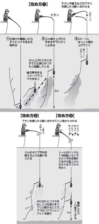 釣行の写真