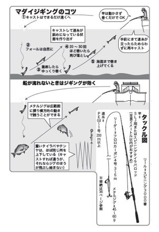 マダイジギングは誰でも釣れる！今日ジグを買えば明日釣れる最速攻略法を紹介！