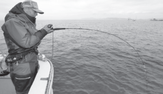 釣行の写真