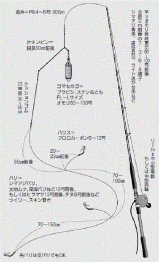 時代が変われば仕掛けも変わる 令和版！！沖釣り仕掛けガイド（第24回）］【第3章】コマセ釣りの仕掛け⑤シマアジ仕掛け