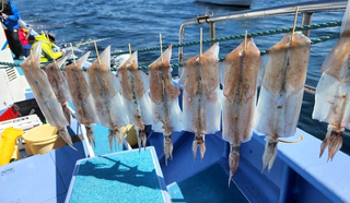 イカのアップ写真