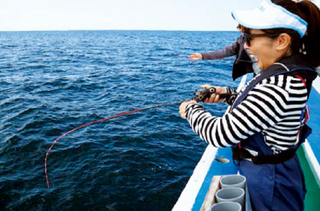 釣行の写真