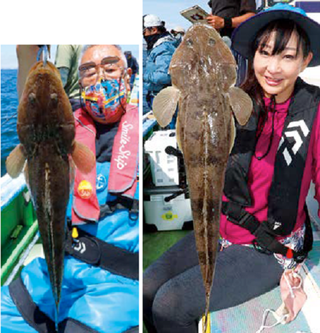 釣行の写真