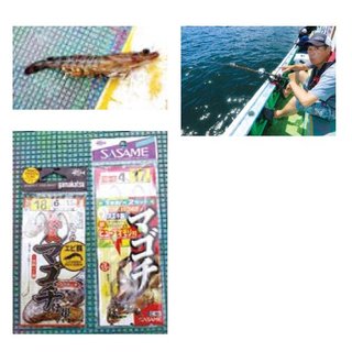 釣行の写真