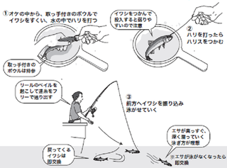 釣り方の図