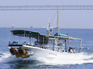 乗合船のアップ写真