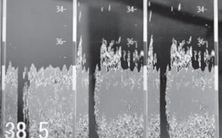 レーダーの写真