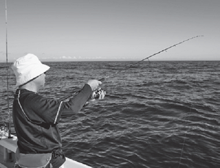 釣行の写真
