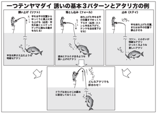 夏の浅場のテンヤ真鯛でした!が…。