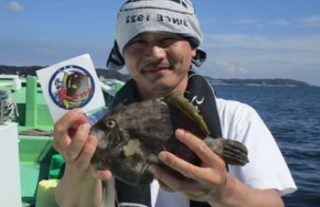 魚のアップ写真