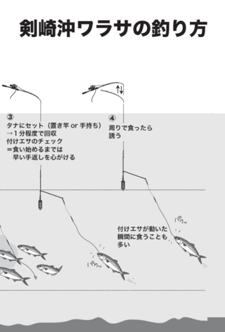 気軽にパワフルファイト】ワラサ（伝五郎丸／剣崎松輪港）