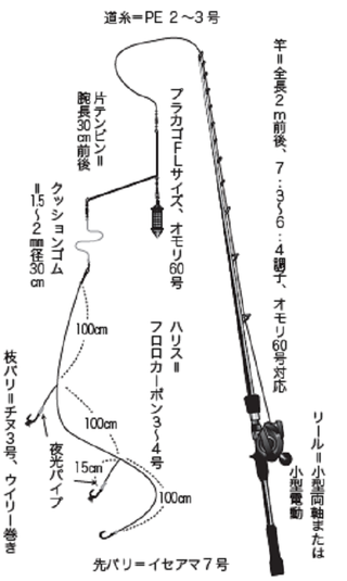 手軽にライトで楽しめる】イナダ