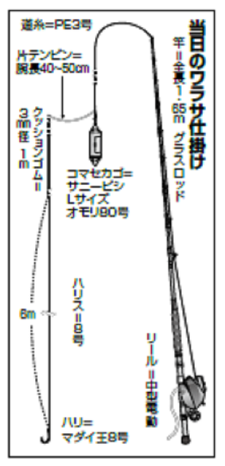 秋の青物シーズン到来 ワラサの強引さを堪能（瀬戸丸／三浦半島剣崎松輪港 ）