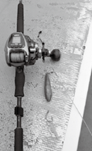 タックルの写真