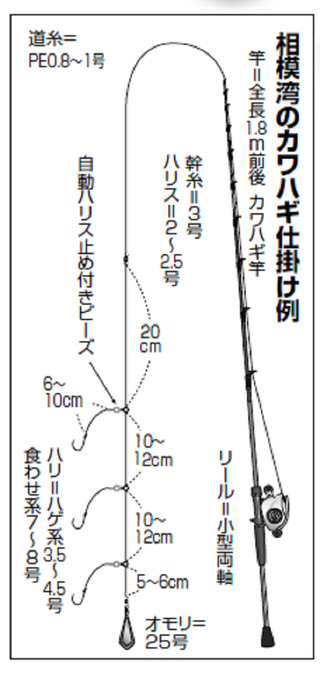 相模湾のカワハギシーズンイン 腰越沖は数より型狙いの滑り出し（池田丸／相模湾腰越港）