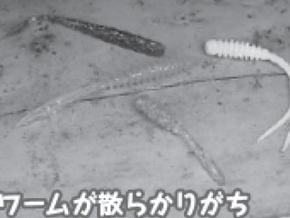 ワームの写真