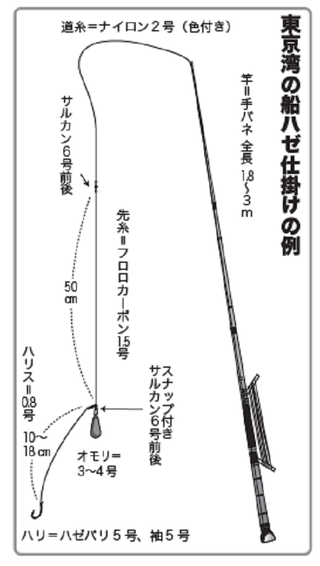 木更津沖の浅場で楽しむ江戸前のハゼ乗合開幕（富士見／東京湾奥深川）