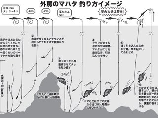 ズシッと竿が止まるのが面白い！船のエギシャクリでアオリイカ