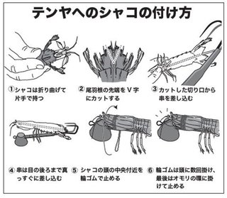 エサの付け方の図