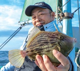 そろそろ数釣りシーズンへ 東京湾のカワハギ上昇気配