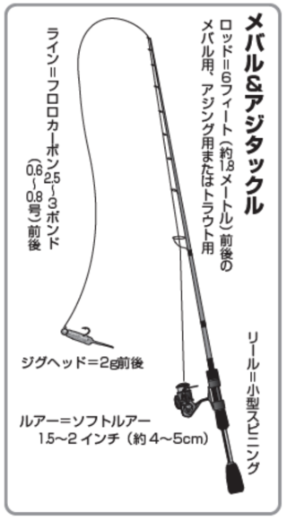 メバル＆アジタックル