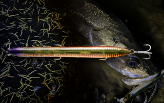 【早い者勝ち】バチ抜け攻略ルアー 17点セット 約3万円相当 早い者勝ち】バチ抜け攻略ルアー 17点セット 約3万円相当 激選