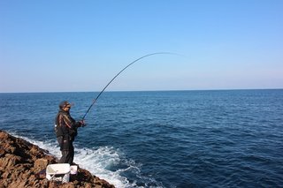 磯釣りされる方　必須 山陰ヒラマサ釣りの伝統「タルカゴ釣法」に迫る 魅せられた達人が進化