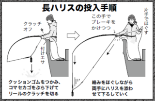 長ハリスの投入