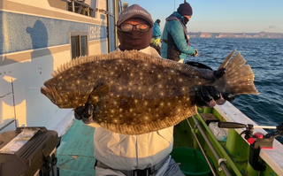 魚のアップ写真