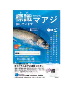 標識マアジ