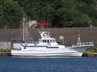 第三新生合同丸