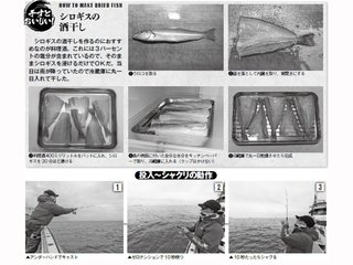 シロギスの酒干し