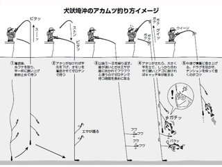 釣り方の図