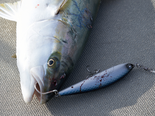 ソルティガ カドラーは2024年新発売の飛距離バツグン＋よく動く