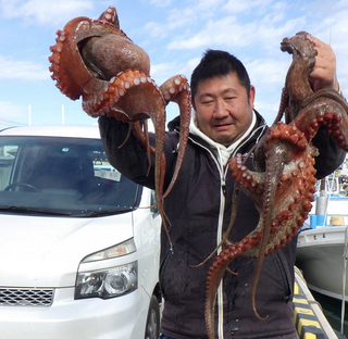 大内丸で茨城・那珂湊港沖にいるハナダイ・アマダイ・メバル・マダコを釣り上げよう！釣果＋各種サービス総まとめ