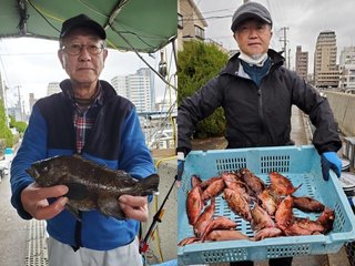 【釣果速報】兵庫県釣り船 名田屋でガシラ合計30匹確保！大型サイズのガシラをどんどん釣り上げて楽しみましょう。