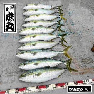 釣果