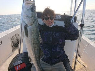 PLAYFUL FISHING