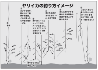 釣り方イメージ