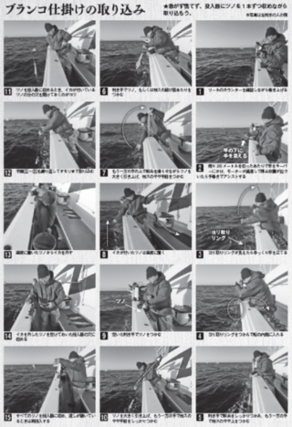 ブランコ仕掛けの取り込み