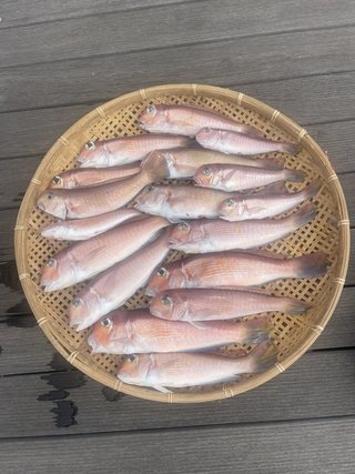 釣果