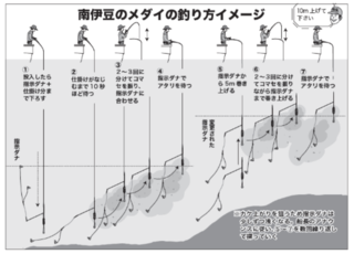 釣り方イメージ