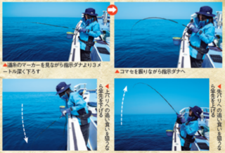 しのチェック02の写真